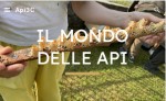 sito il mondo api