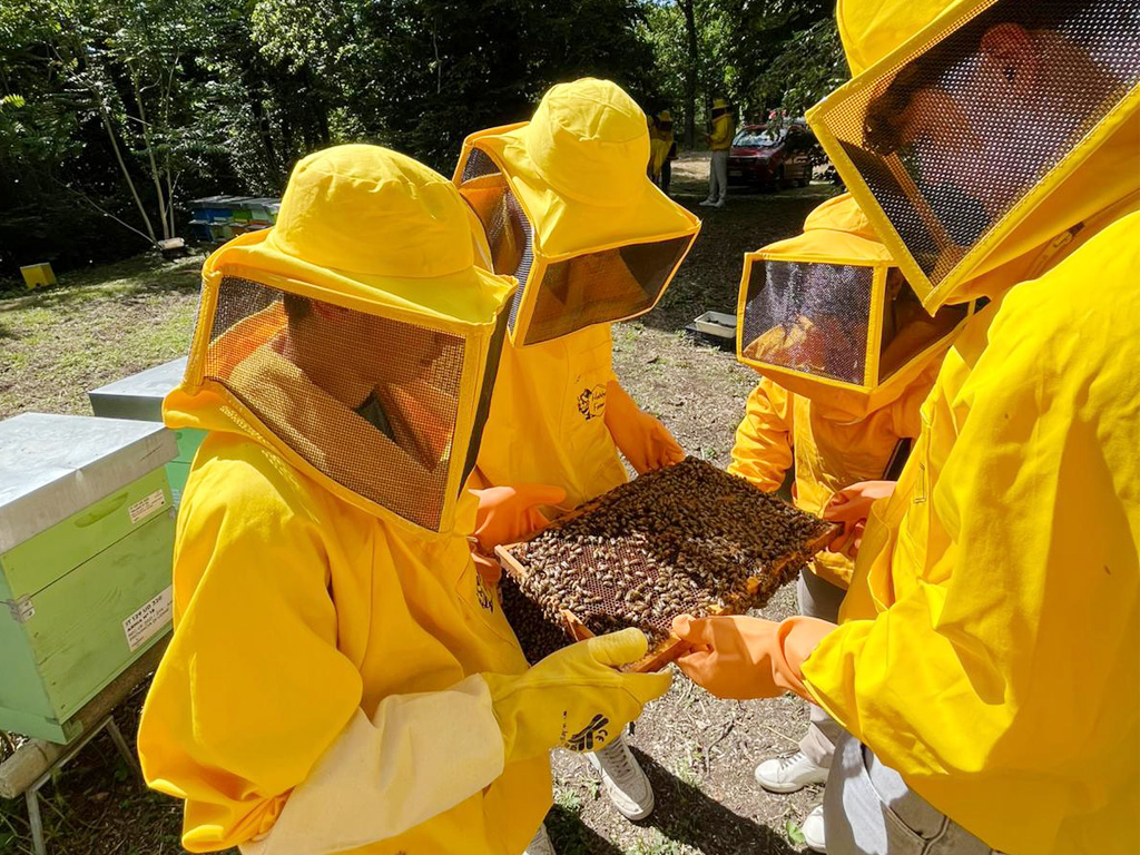 Un percorso di apicoltura tra scienza e biodiversità
