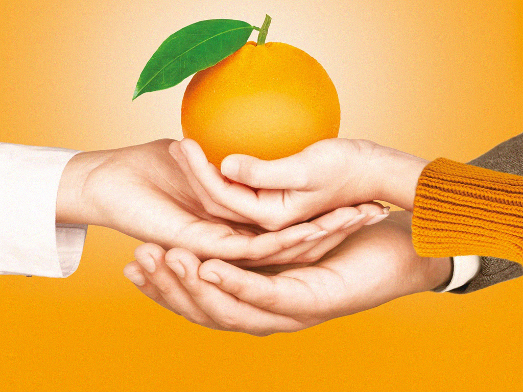 Solidarietà a sostegno della ricerca contro il cancro